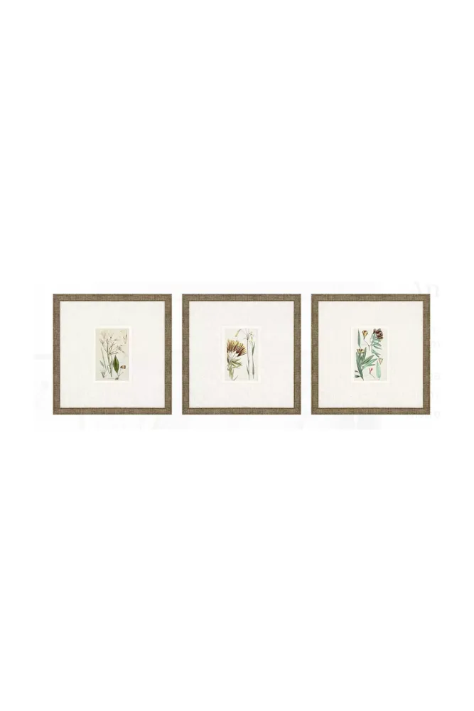 Antique Botanical Floral Art