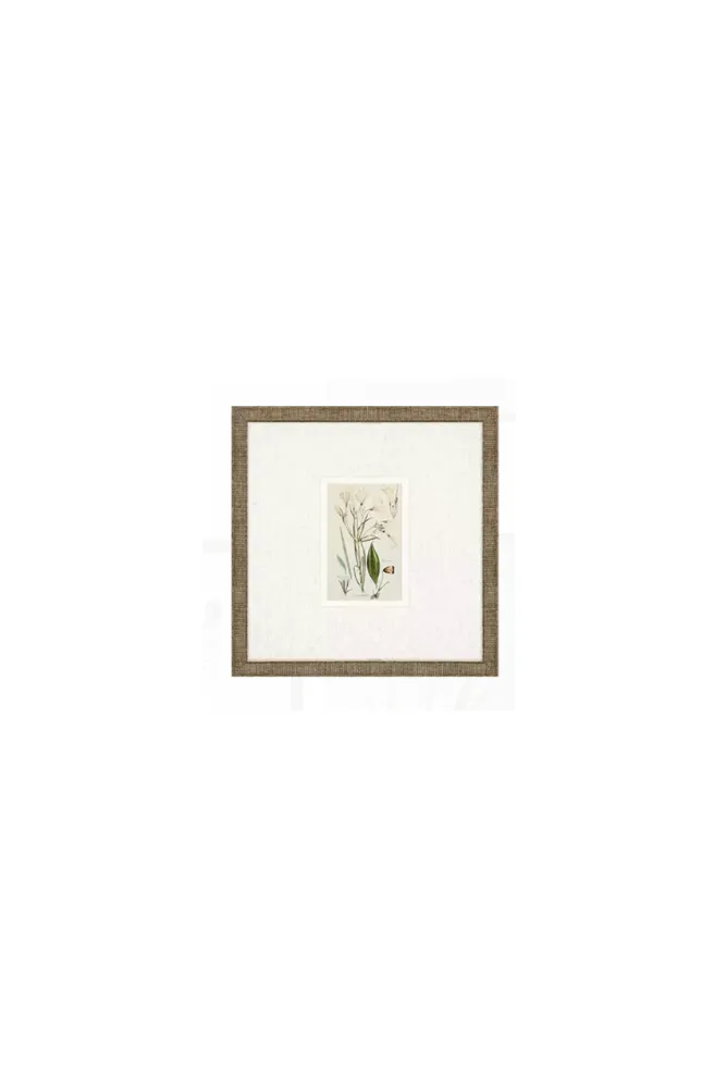 Antique Botanical Floral Art