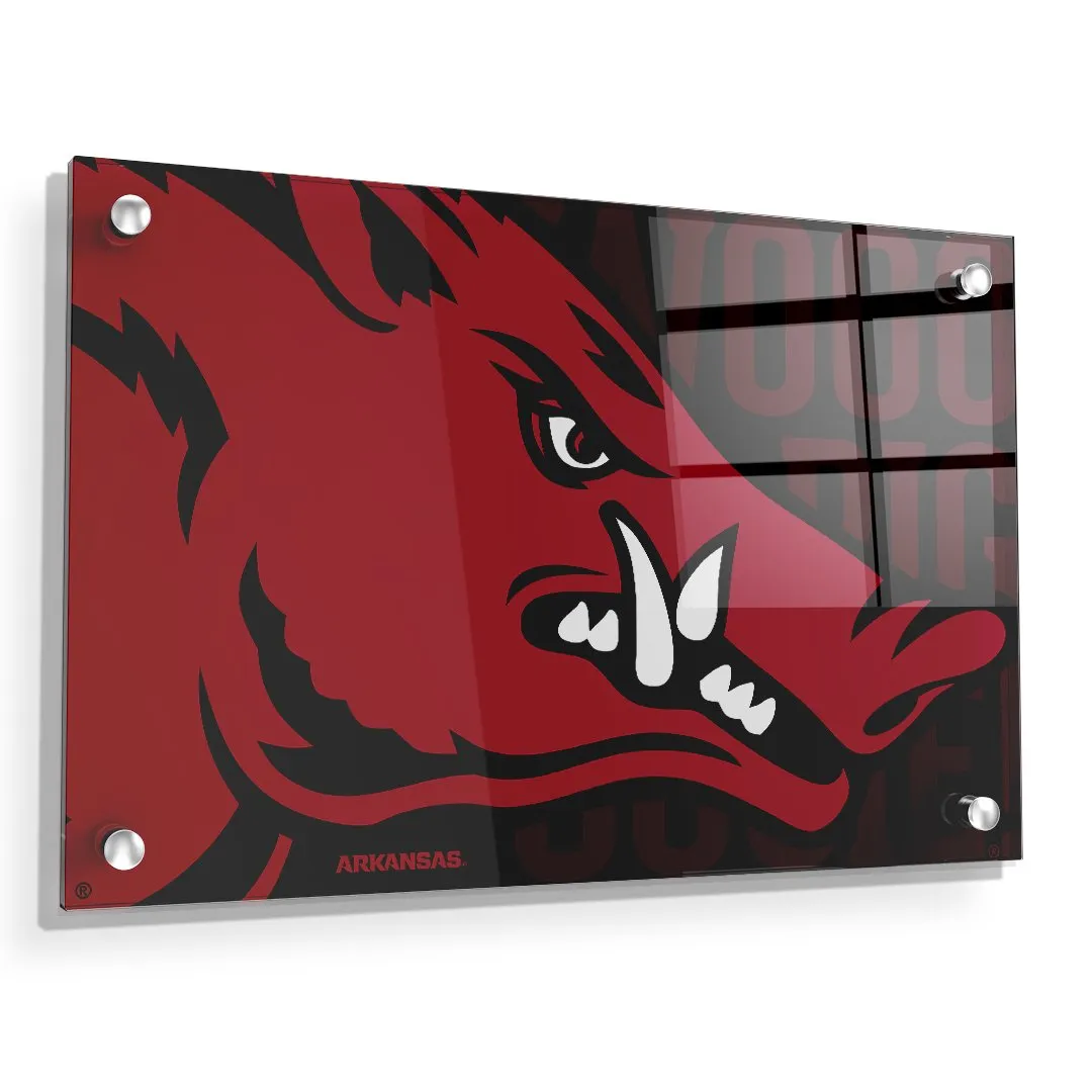 Arkansas Razorbacks - Arkansas Razorback