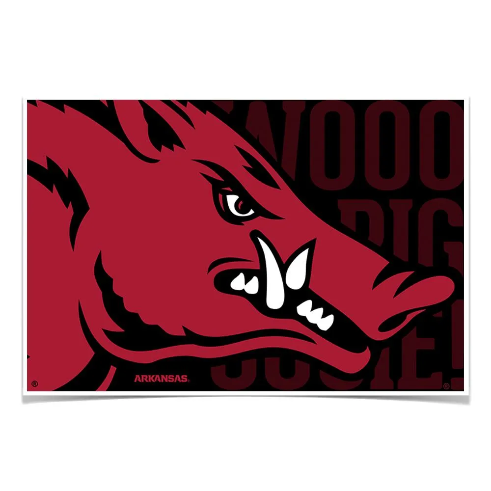 Arkansas Razorbacks - Arkansas Razorback