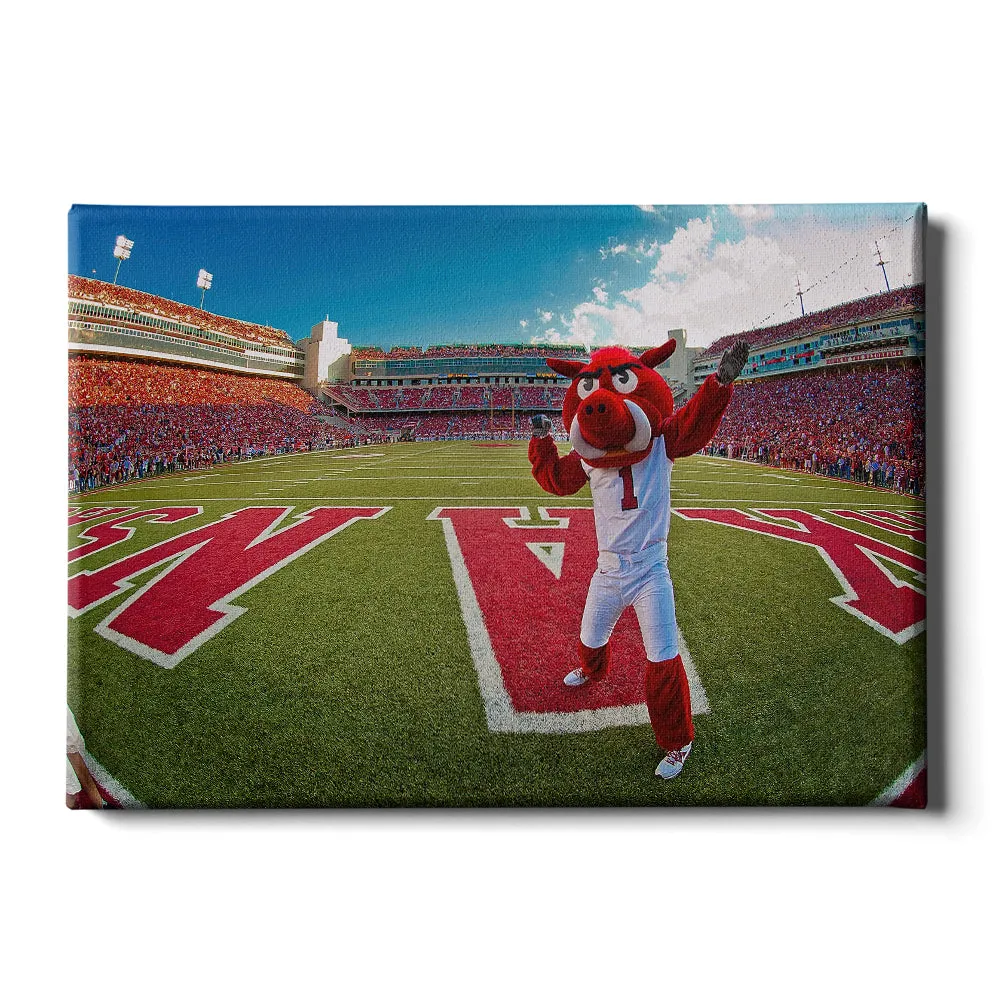 Arkansas Razorbacks - Big Red End Zone