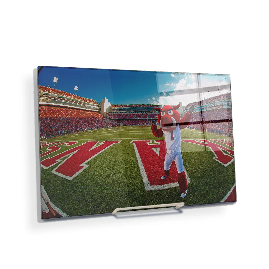 Arkansas Razorbacks - Big Red End Zone