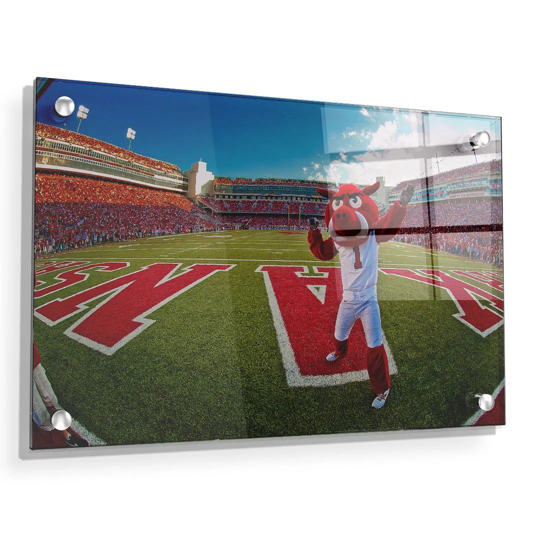 Arkansas Razorbacks - Big Red End Zone