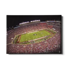 Florida State Seminoles - Doak