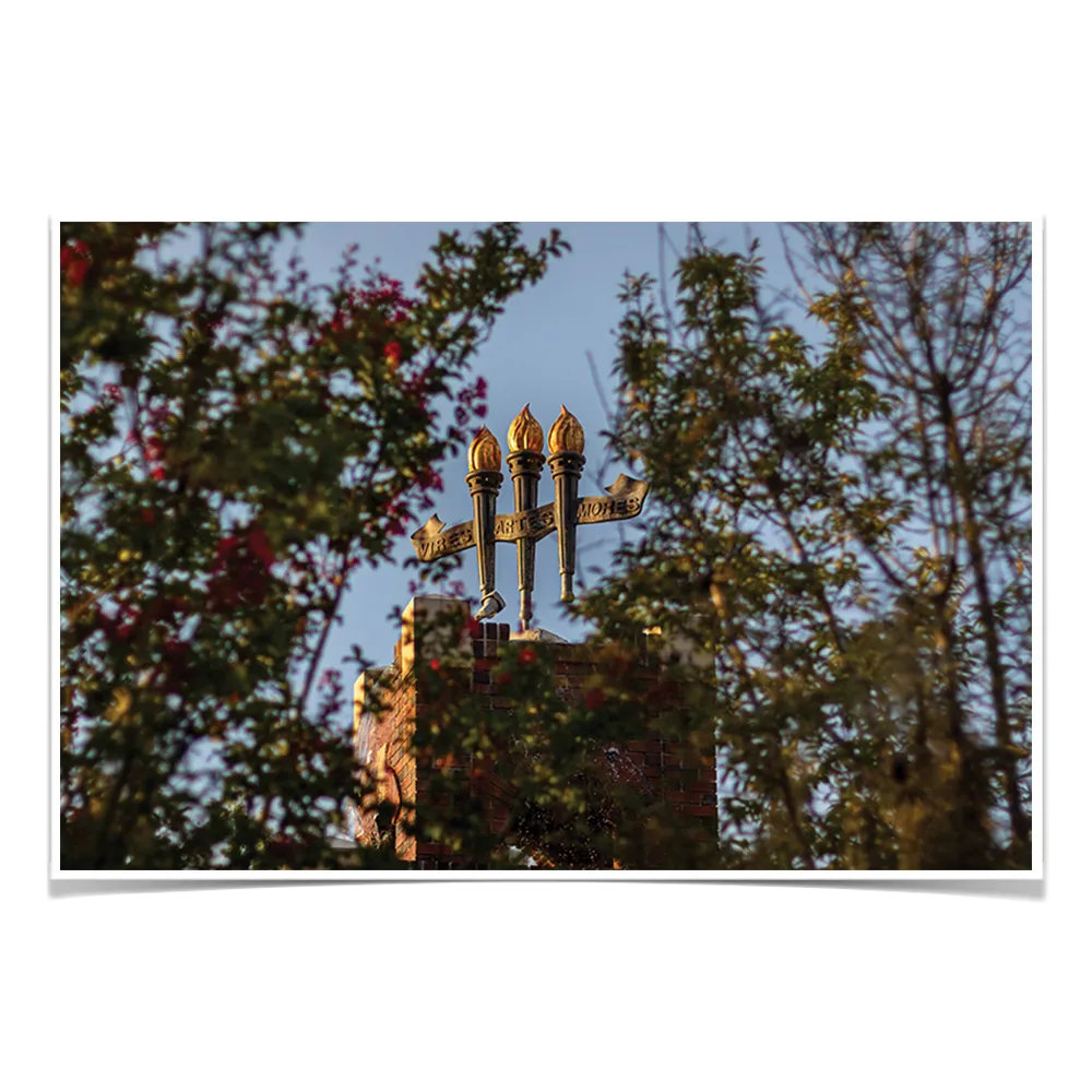 Florida State Seminoles - Framed Torches Close-up