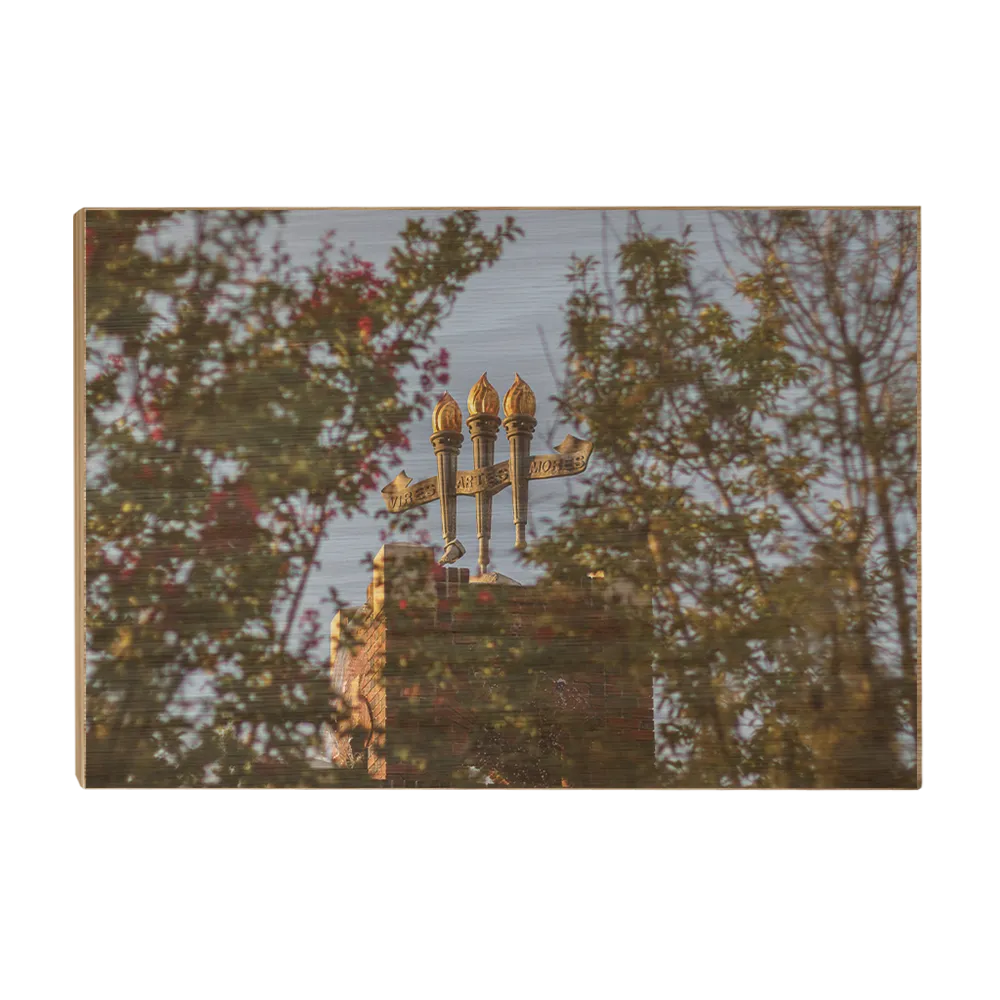 Florida State Seminoles - Framed Torches Close-up