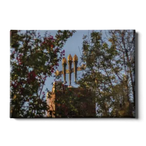 Florida State Seminoles - Framed Torches Close-up