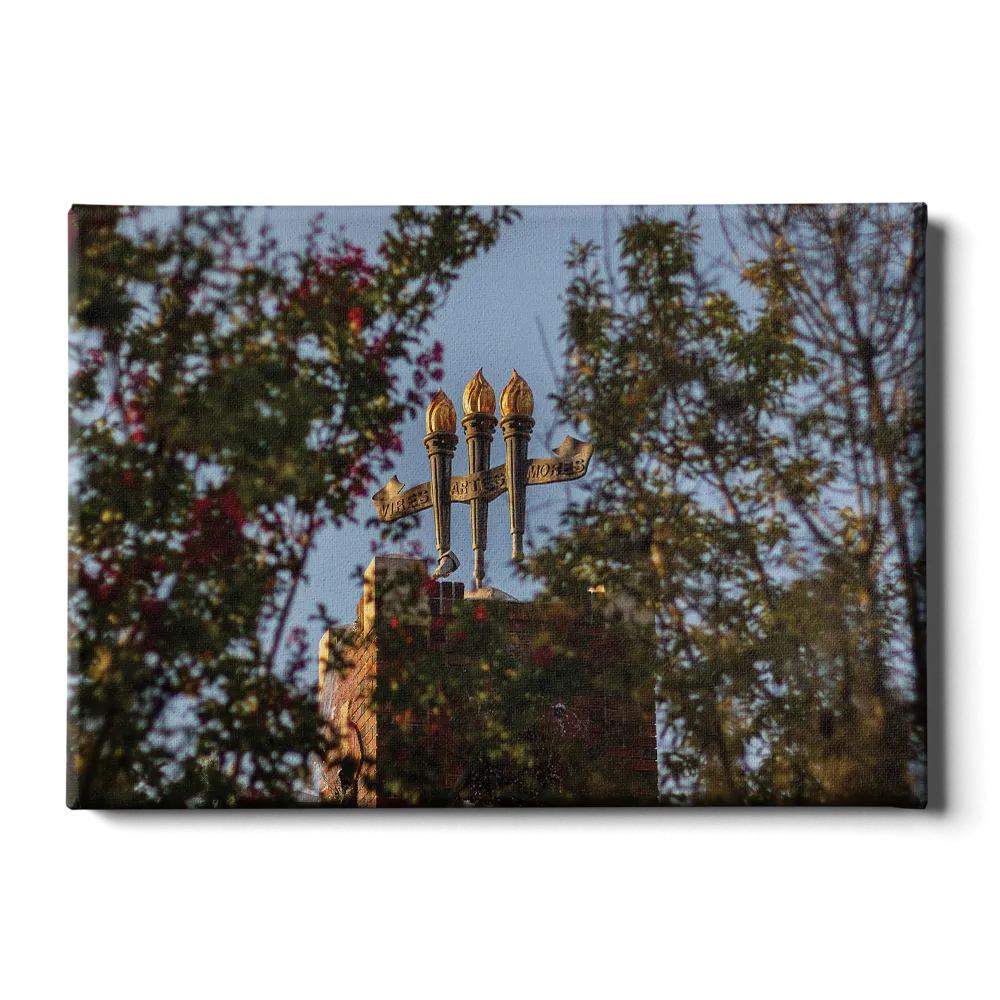 Florida State Seminoles - Framed Torches Close-up