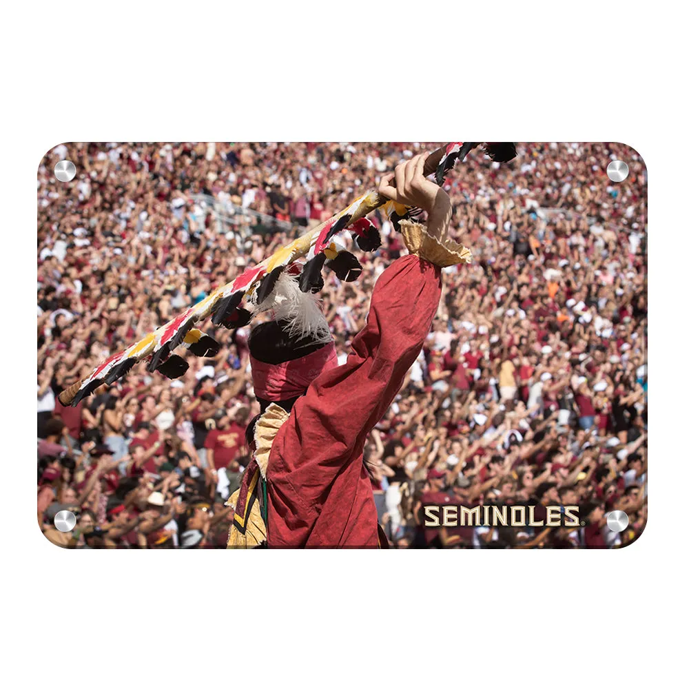 Florida State Seminoles - Go Seminoles