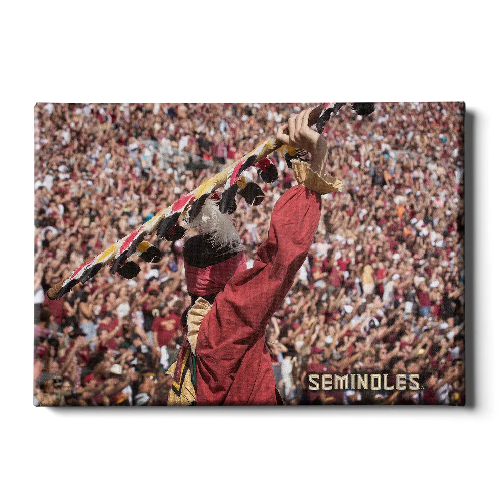 Florida State Seminoles - Go Seminoles