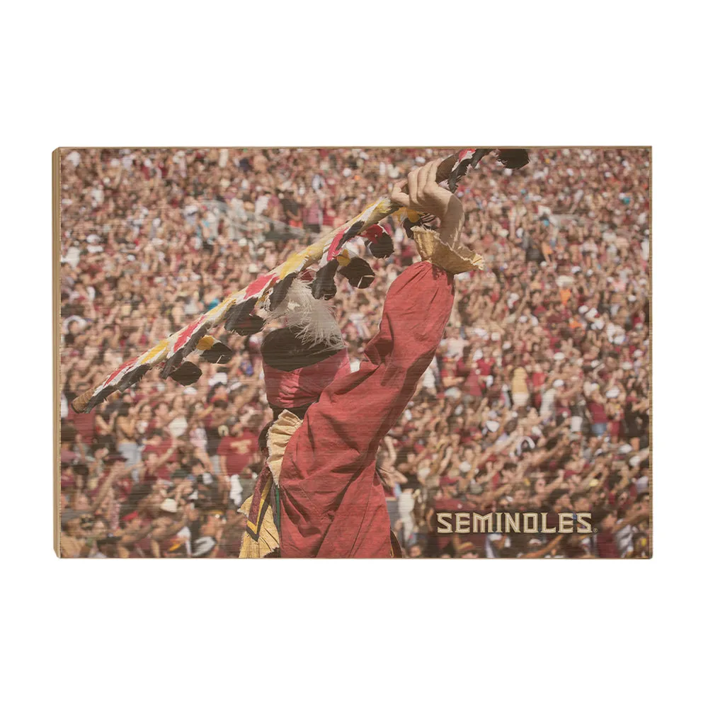 Florida State Seminoles - Go Seminoles