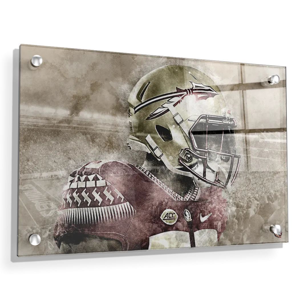 Florida State Seminoles -Vintage Nole