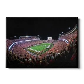 Georgia Bulldogs - Aerial Sanford Lights