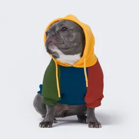 Primary Color Block Dog Hoodie