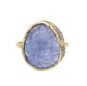 Tanzanite Hidden Cove Ring